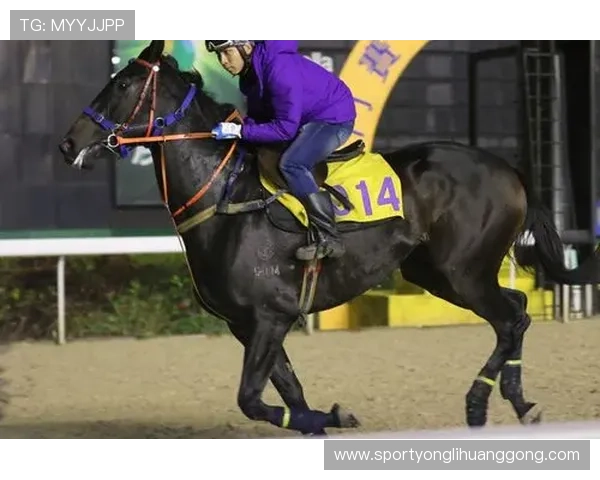 澳门宣布4月暂停赛马赛事对相关产业链和从业人员的经济影响全面解析